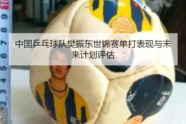 中国乒乓球队樊振东世锦赛单打表现与未来计划评估